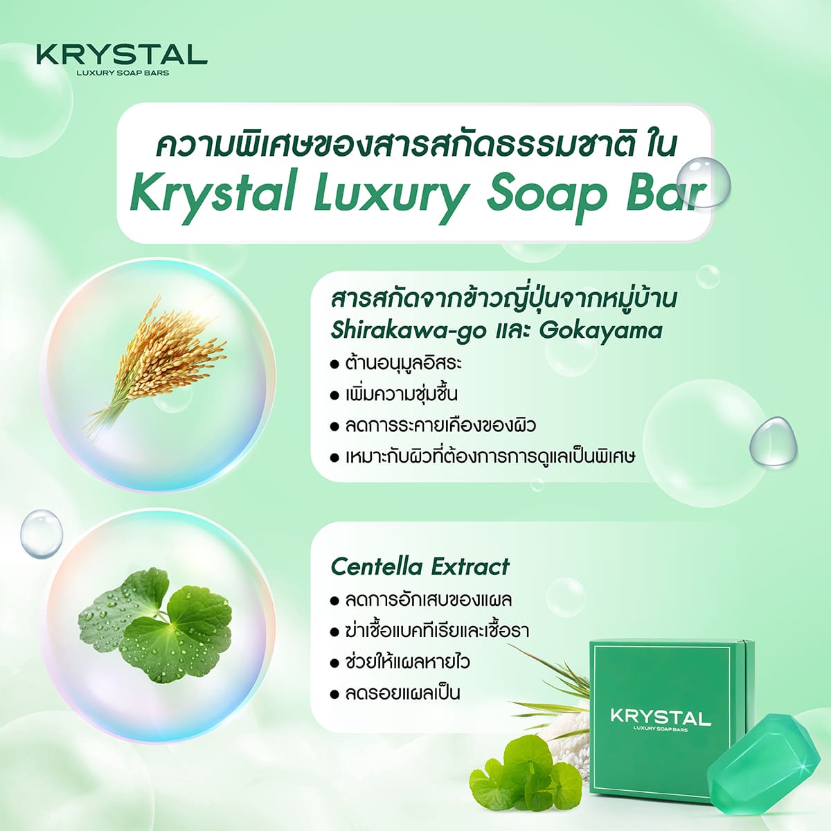 คริสตัส